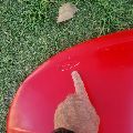 Arrow - 100 cm - Image 7