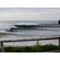 Hog Custom Thruster Performance Square Tail - 5' 10" - Image 13