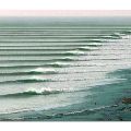 Hog Custom Thruster Performance Square Tail - 5' 10" - Image 3