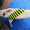 Hog Custom With Free Accessories Square Tail Thruster - 6' 2" - Image 36
