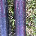 Neil Pryde & Tps Firestick Sdm 2 Piece Carbon Masts - Image 2