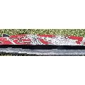 Griffin Twin Tip - Image 18