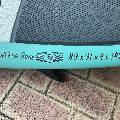 2025 Blue Planet Surf 2025 Small Fish - 8' 9", 31 inches - Image 2