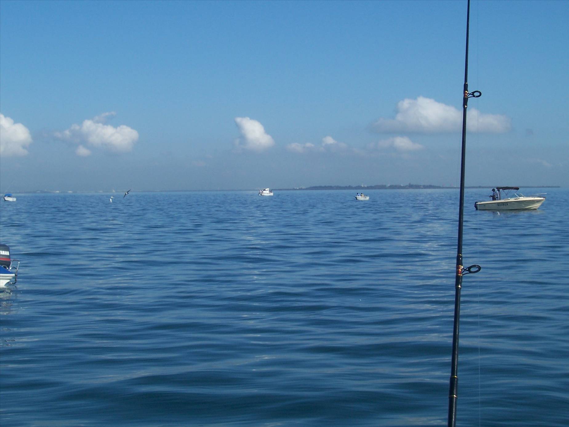 a nice day out on the bay