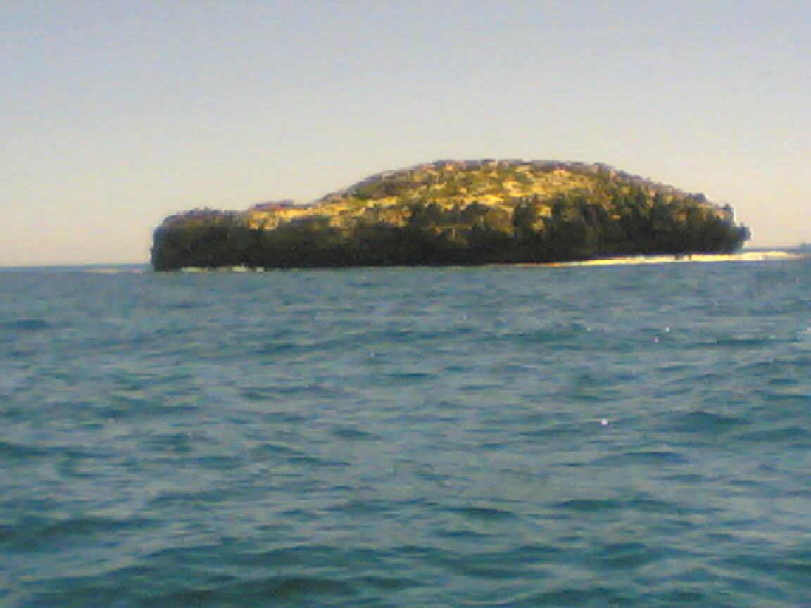 Land