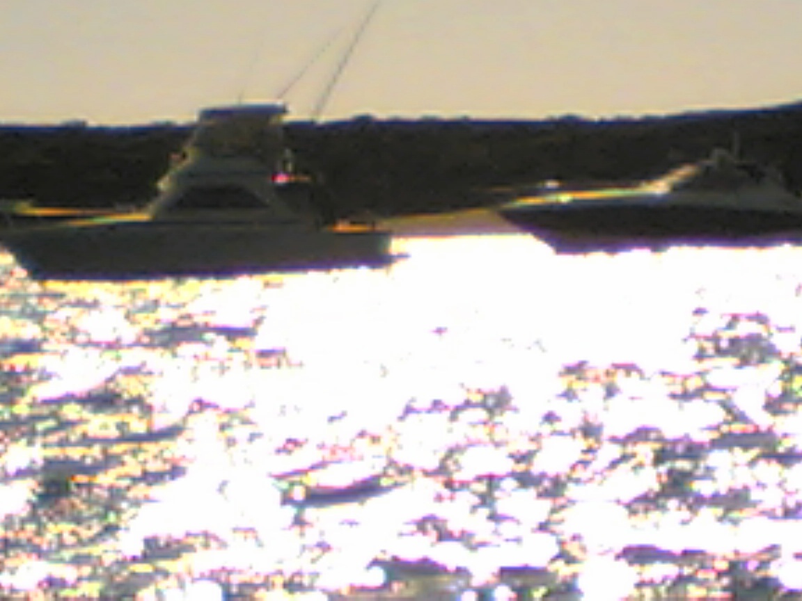 THats the Life!