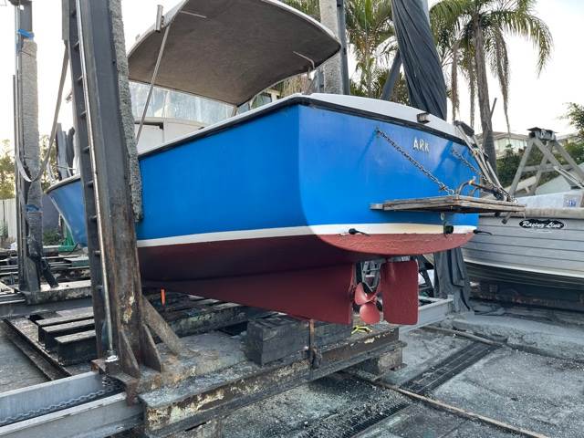 mussels on boats wasted