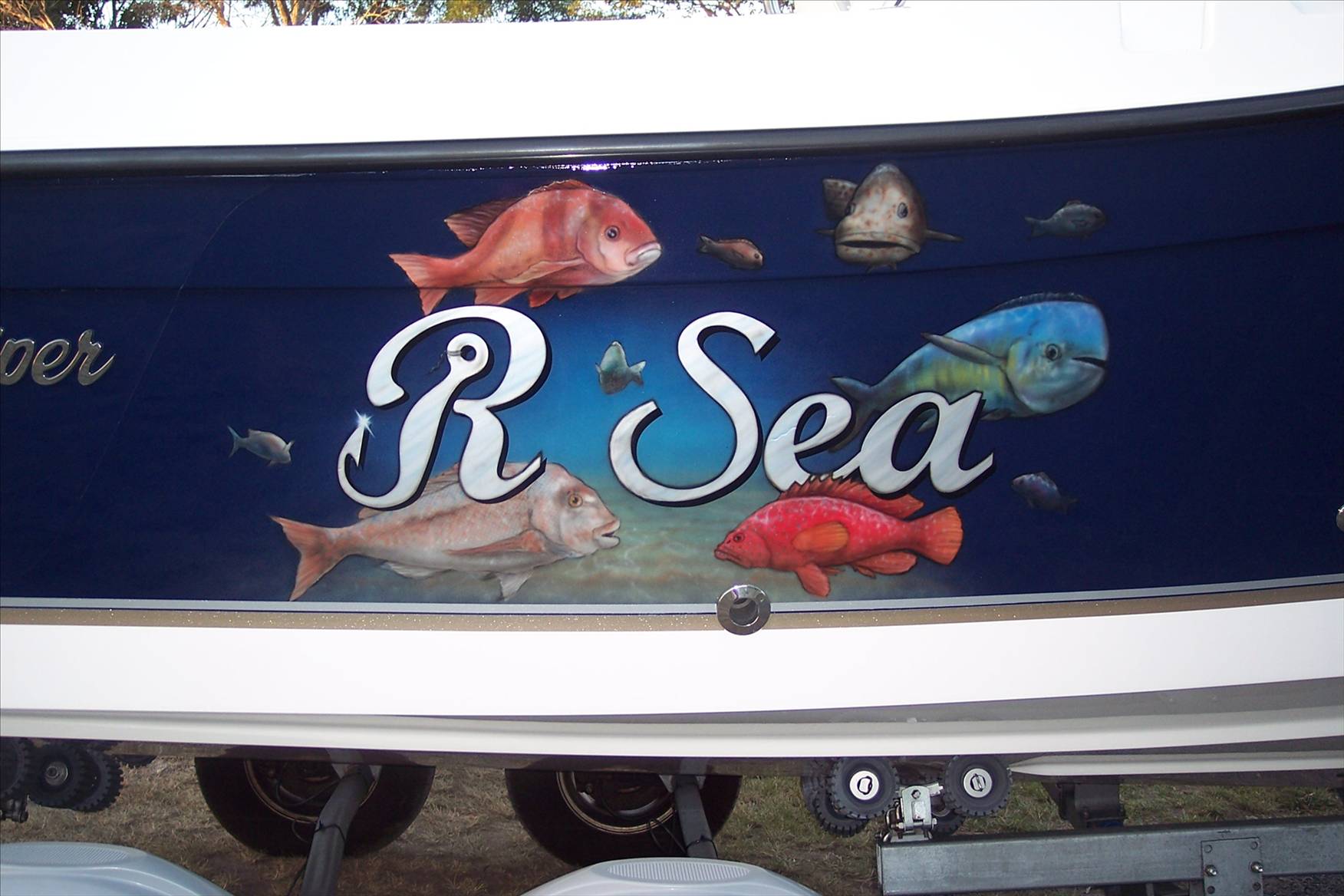 My Imported Boat, (Name: R Sea) 
