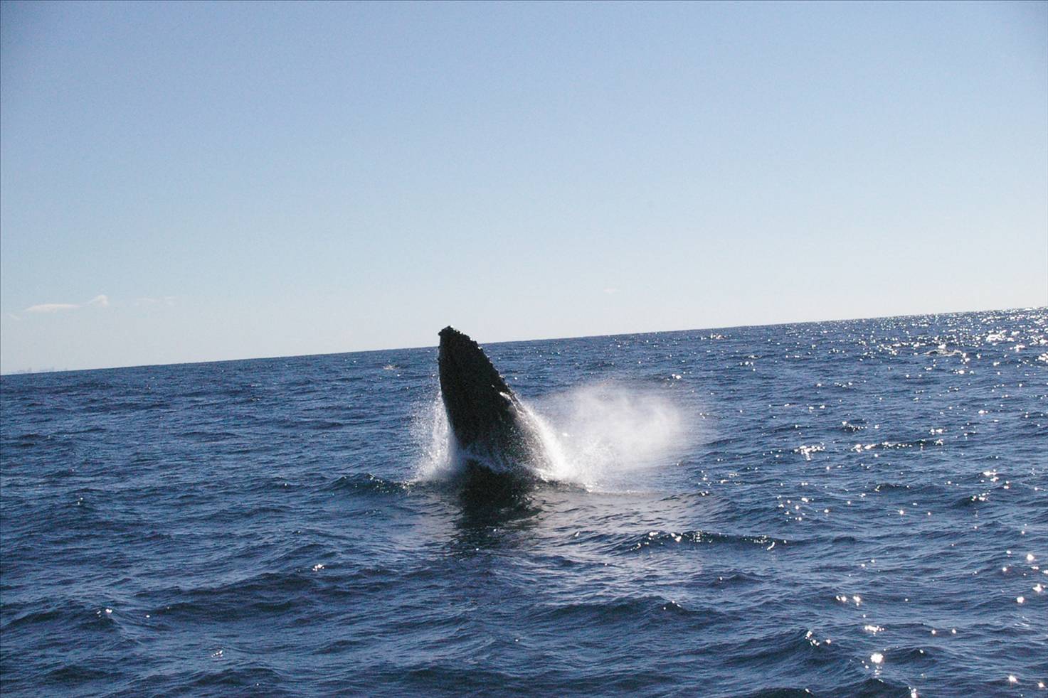 Tweed fishing Charters