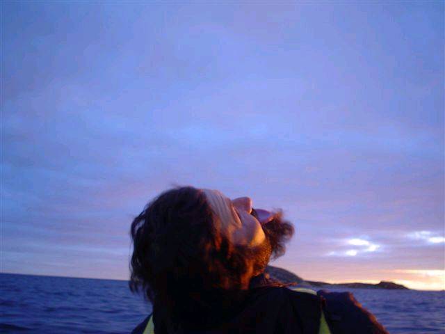 termination island trip