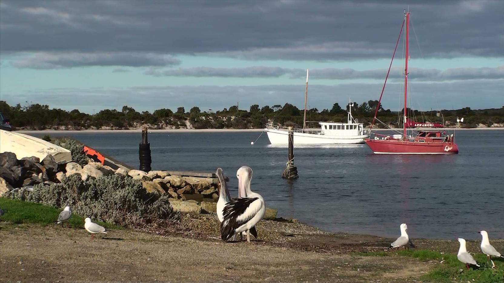 Leearcki at America River - South Australia