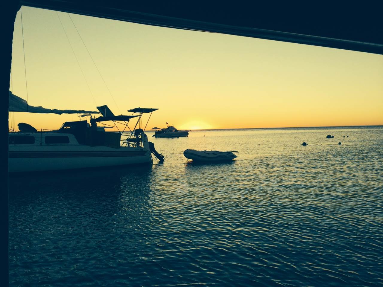 Who Needs Rottnest