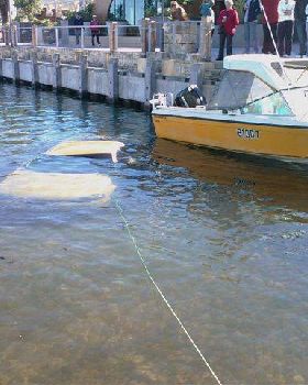 Should Have Taken the Dive Gear
