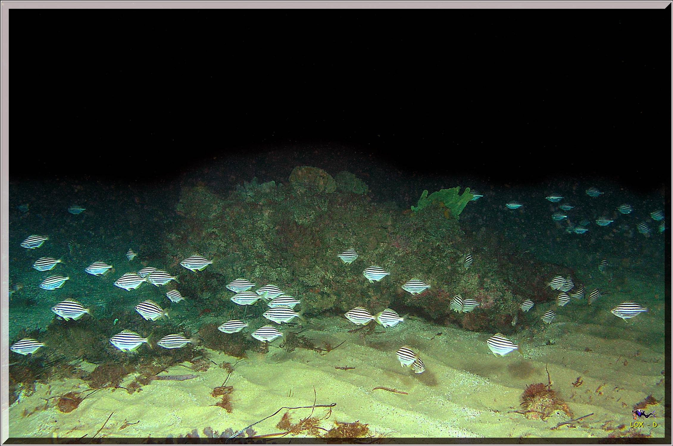 LoxPix Sub-Aqua Image