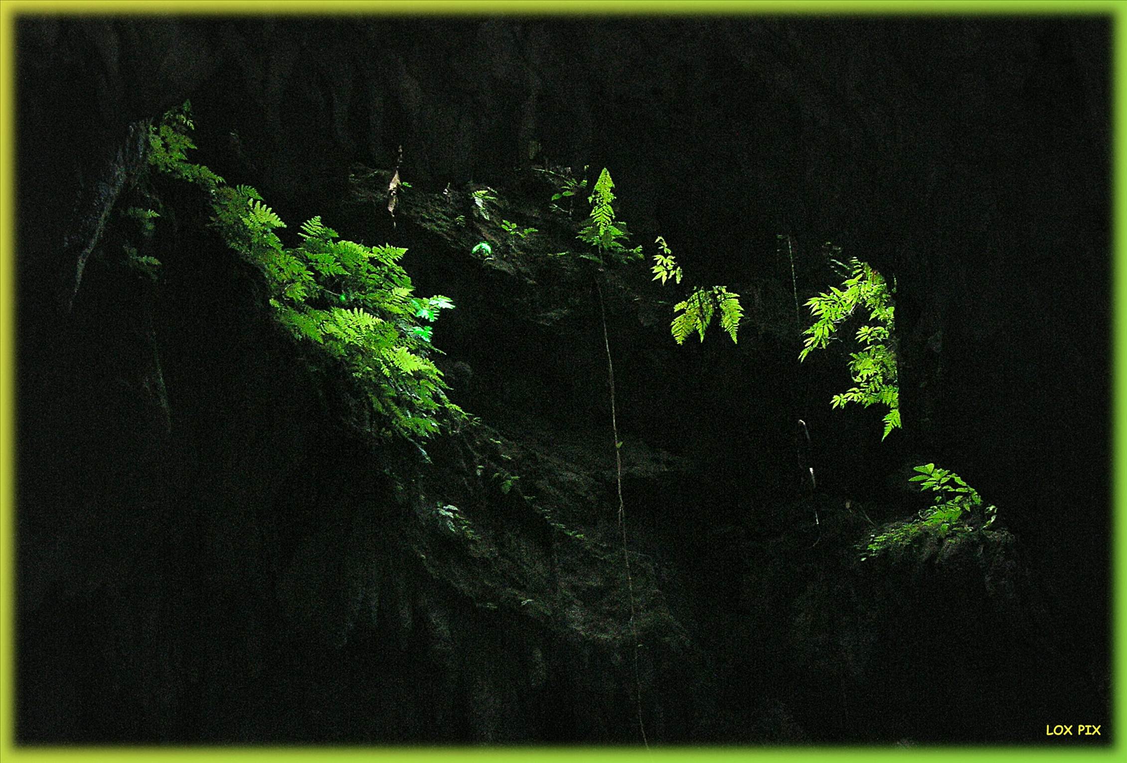 LoxPix Sub-Aqua Image