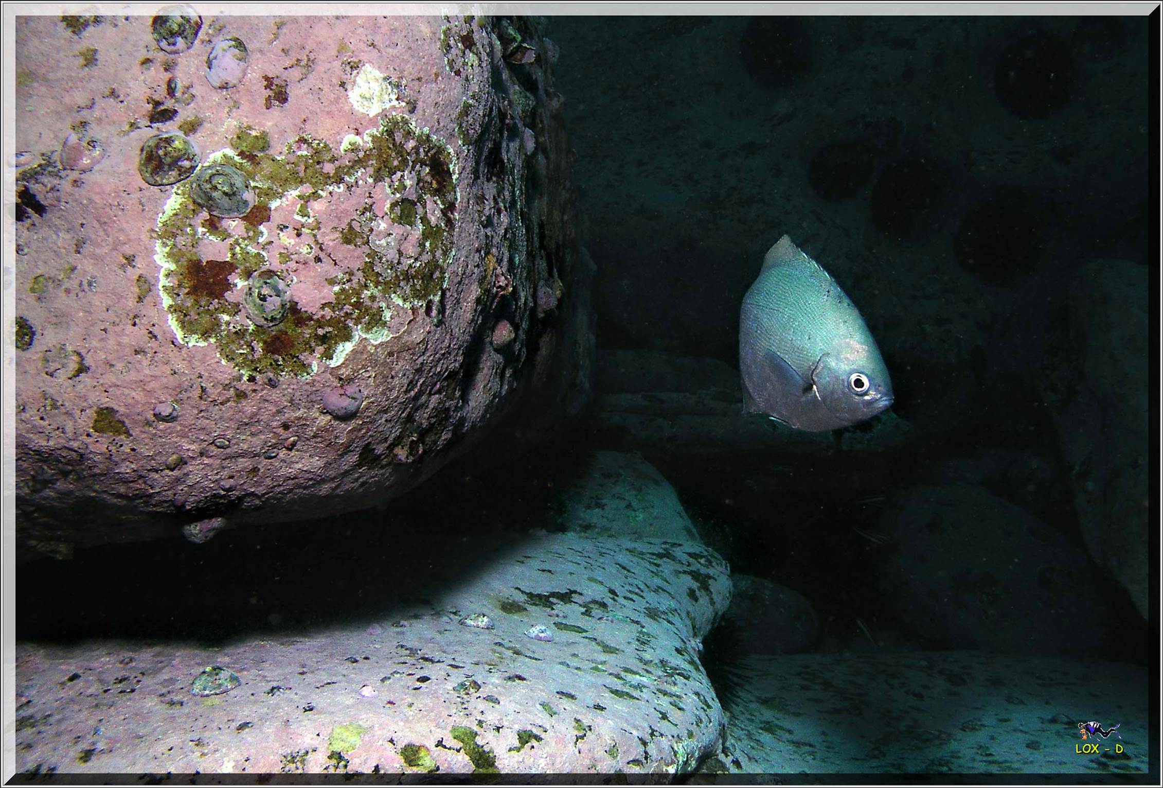 LoxPix Sub-Aqua Image