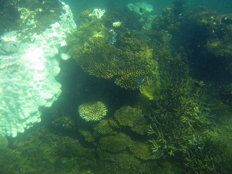 Damage from the big wet