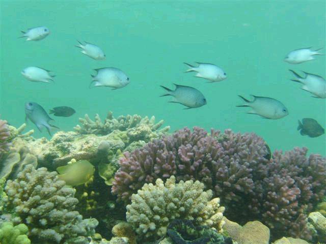 dive trip 9-9-09