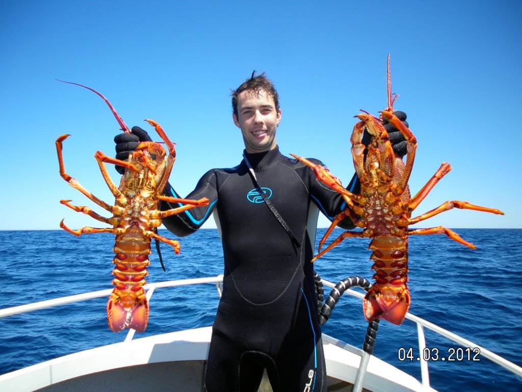 2.7kg and 3kg Cray