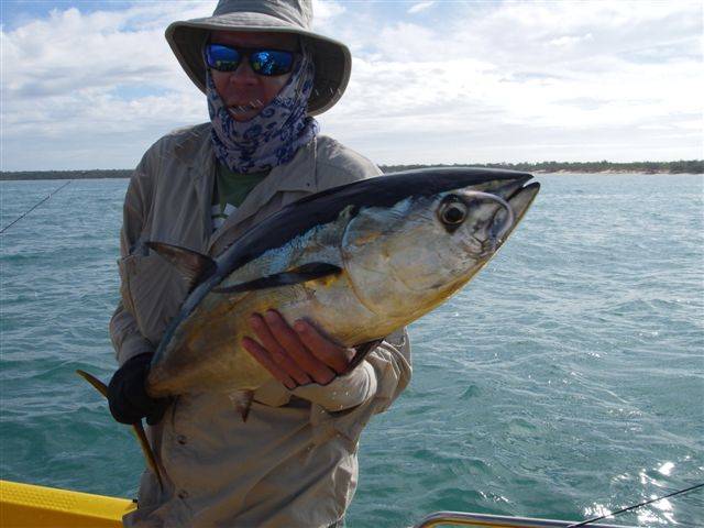 longtail tuna time