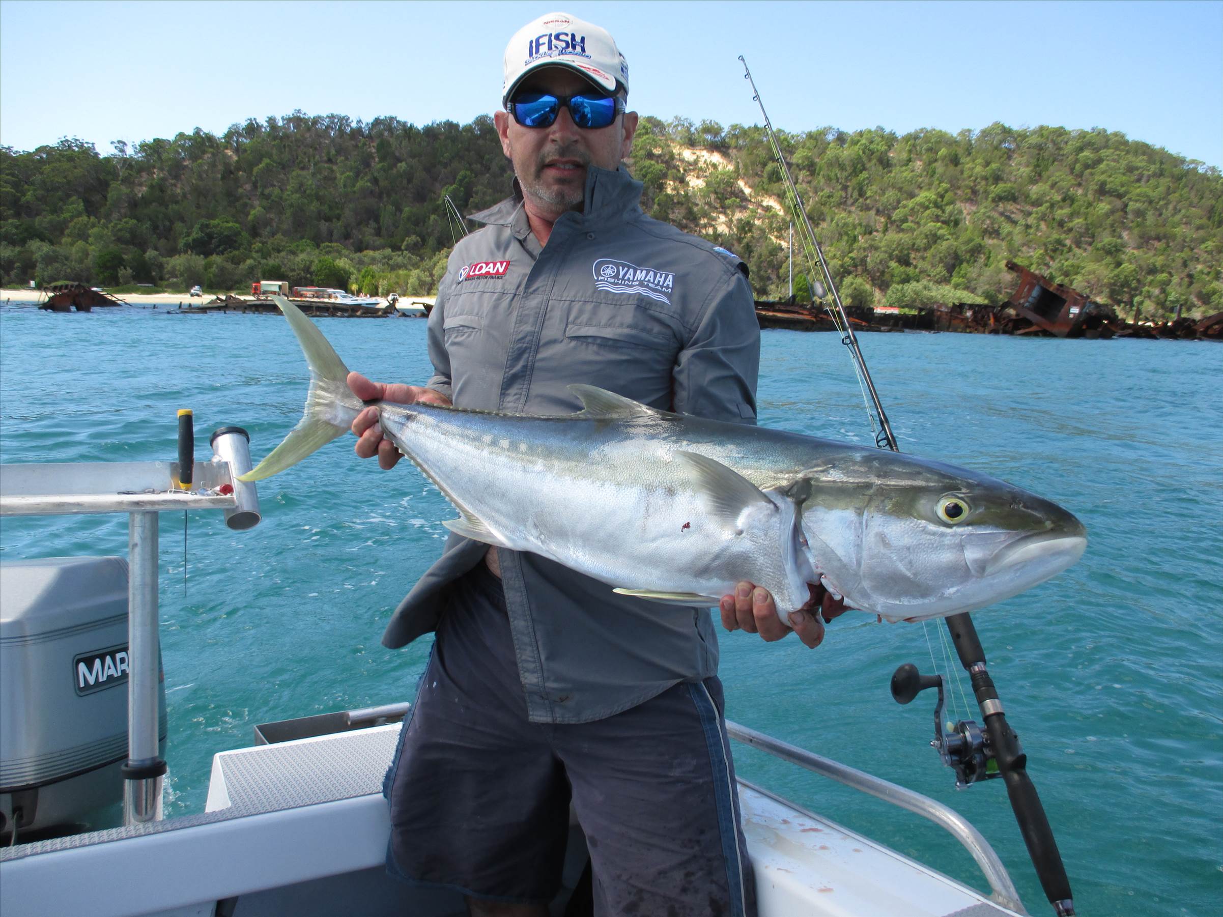 kingfish