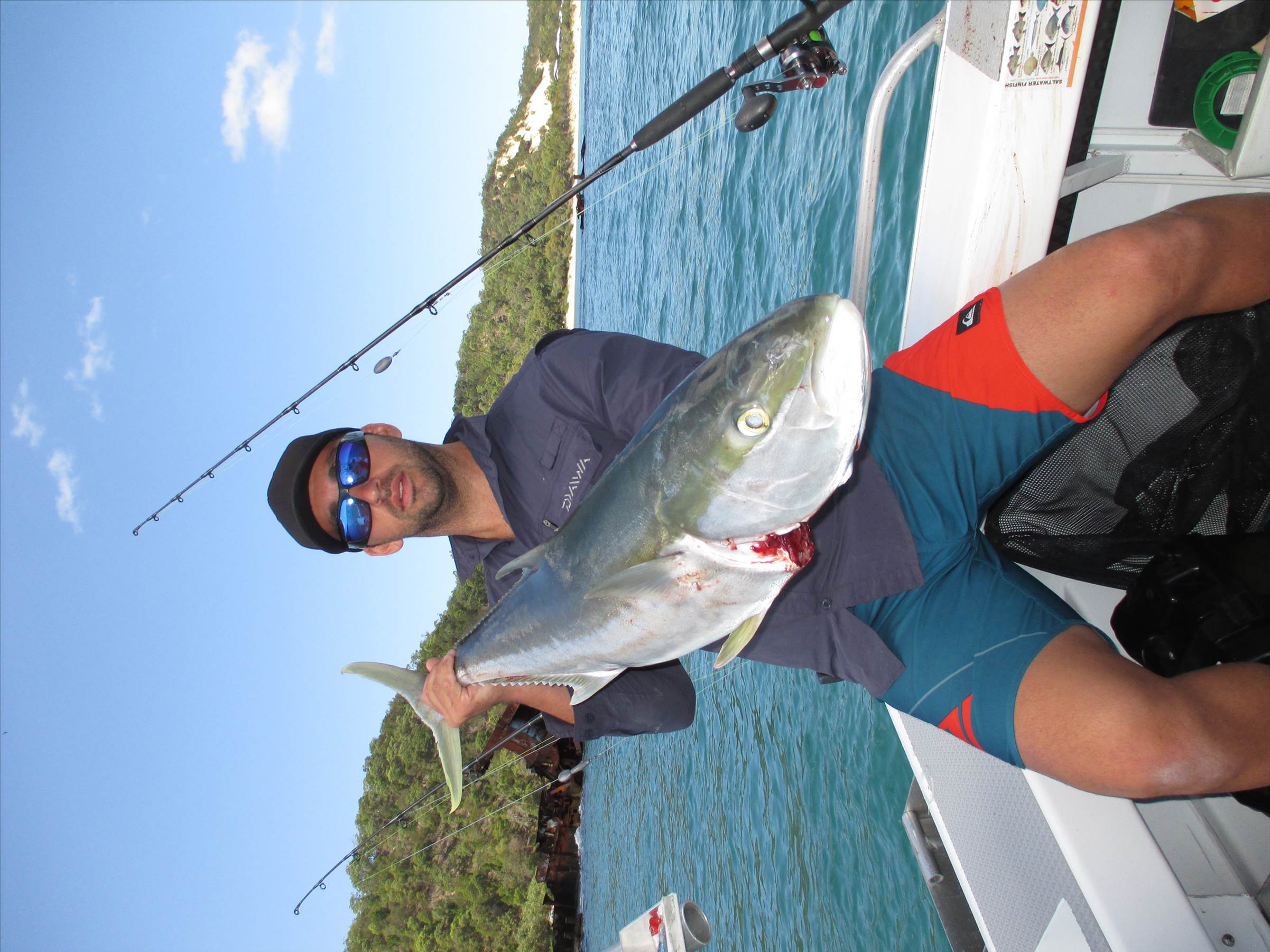 kingfish