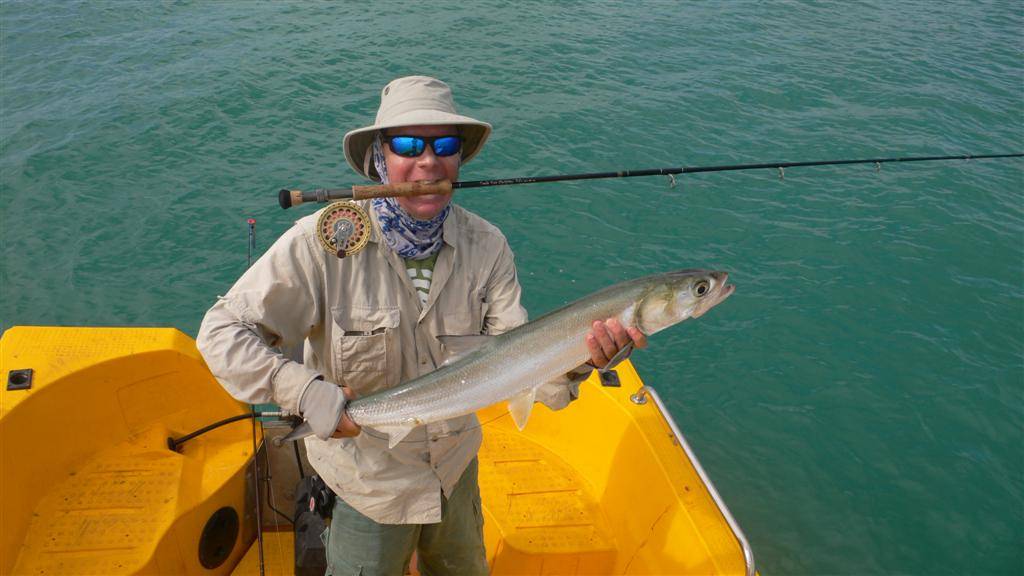 bloody big herring