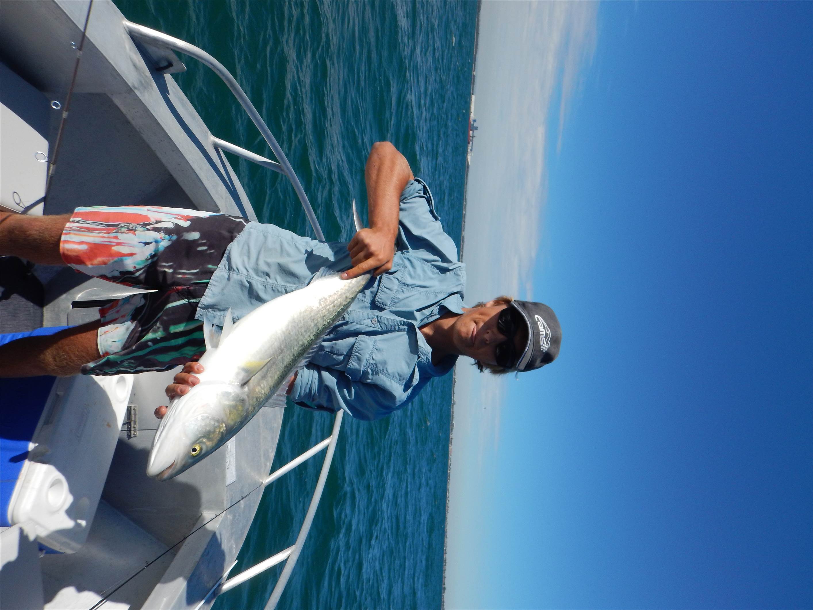 salmon