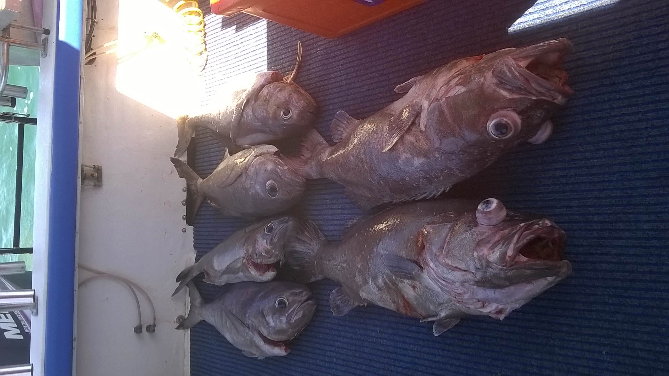 WP 20151227 002