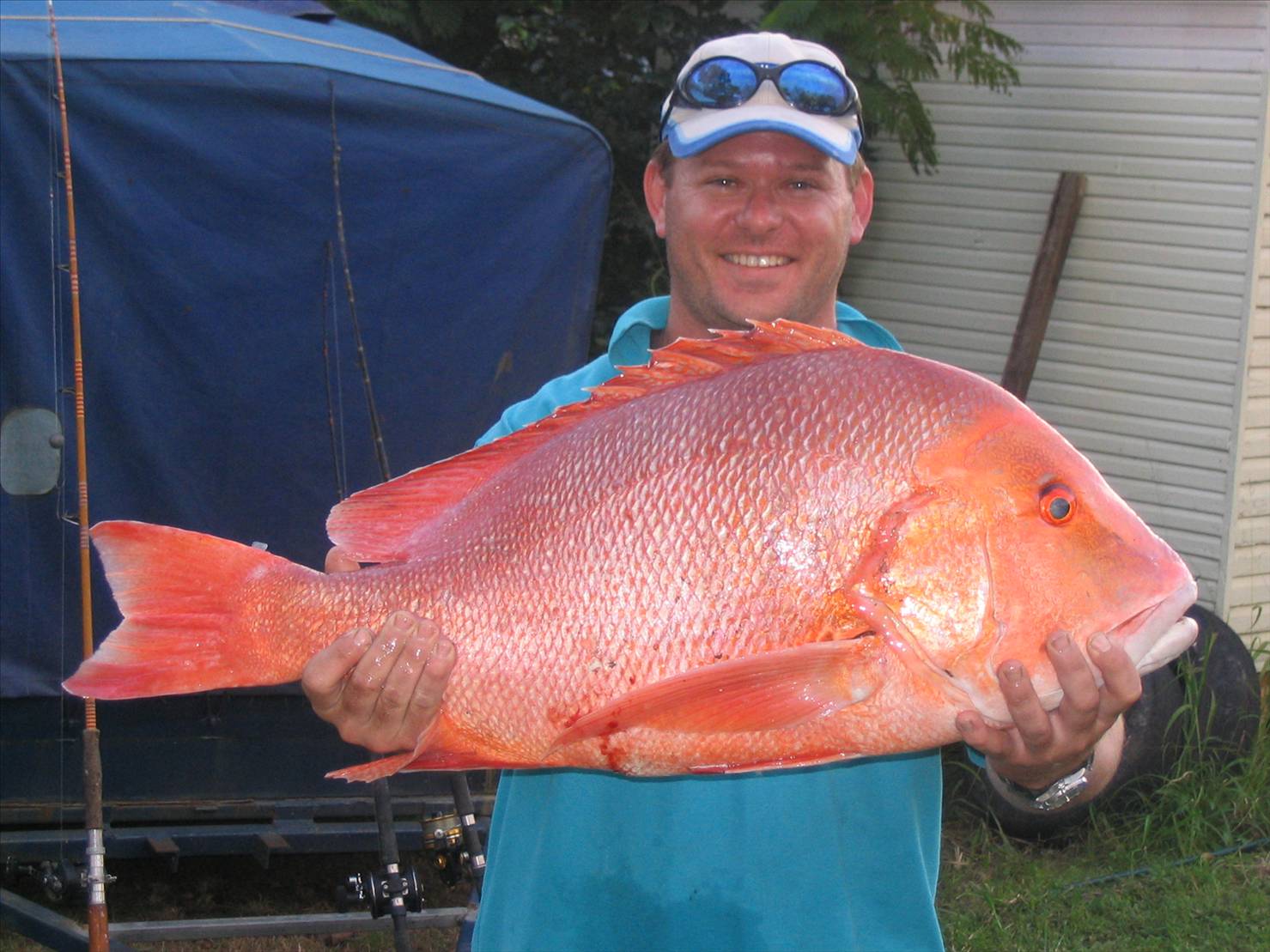 11kg red