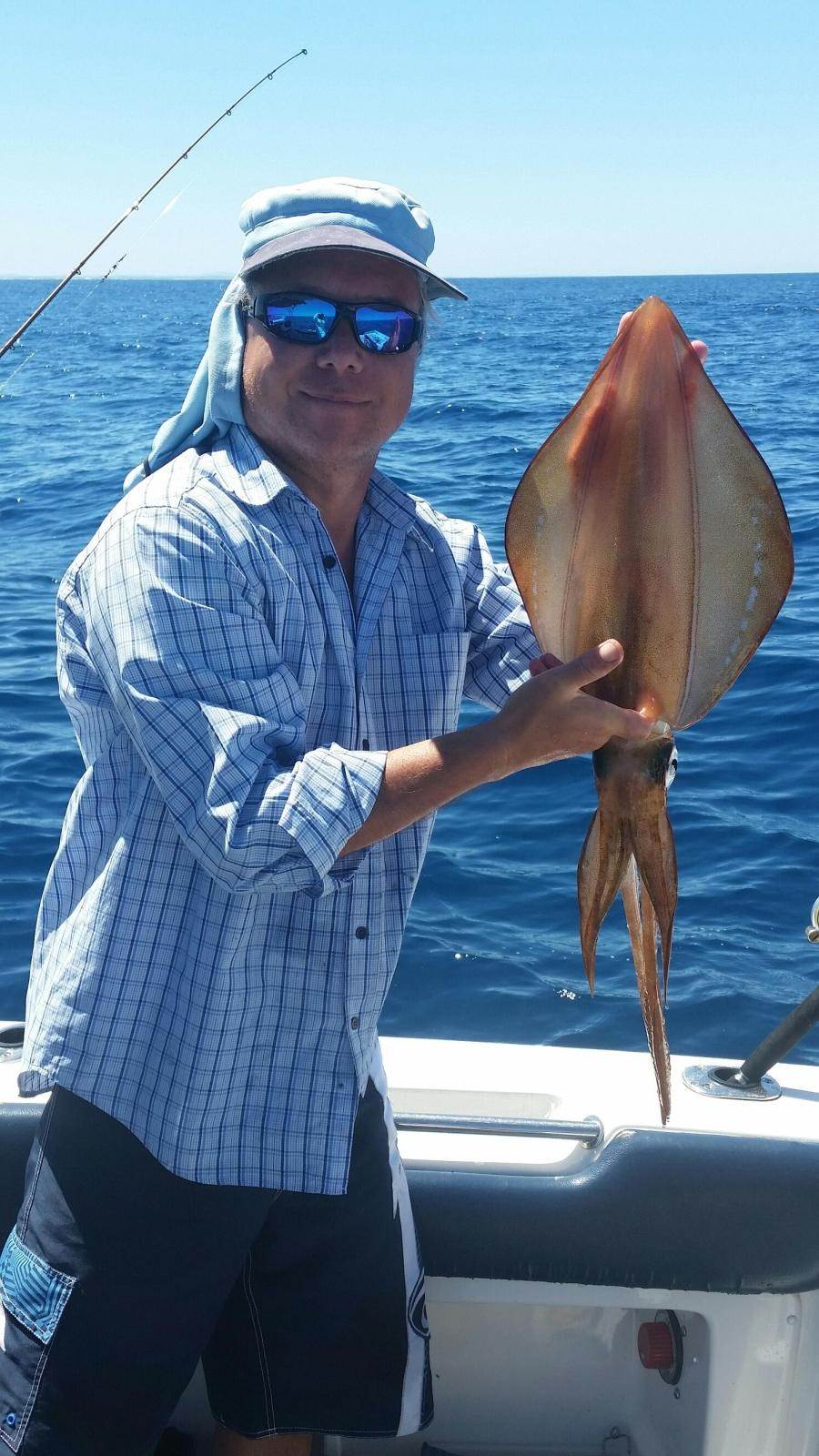 Nice squid