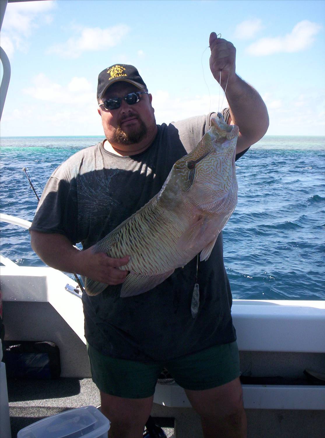 Nice little Gould reef wrasse(yes it was released) 