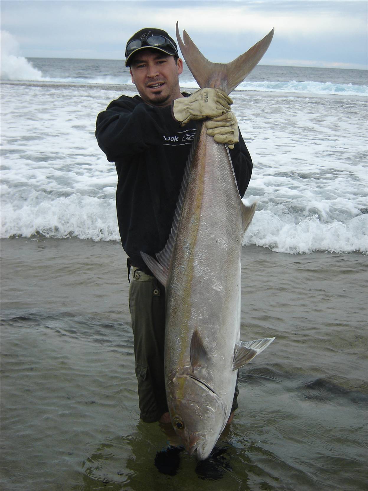 Wagoe Amberjack