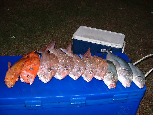 days catch