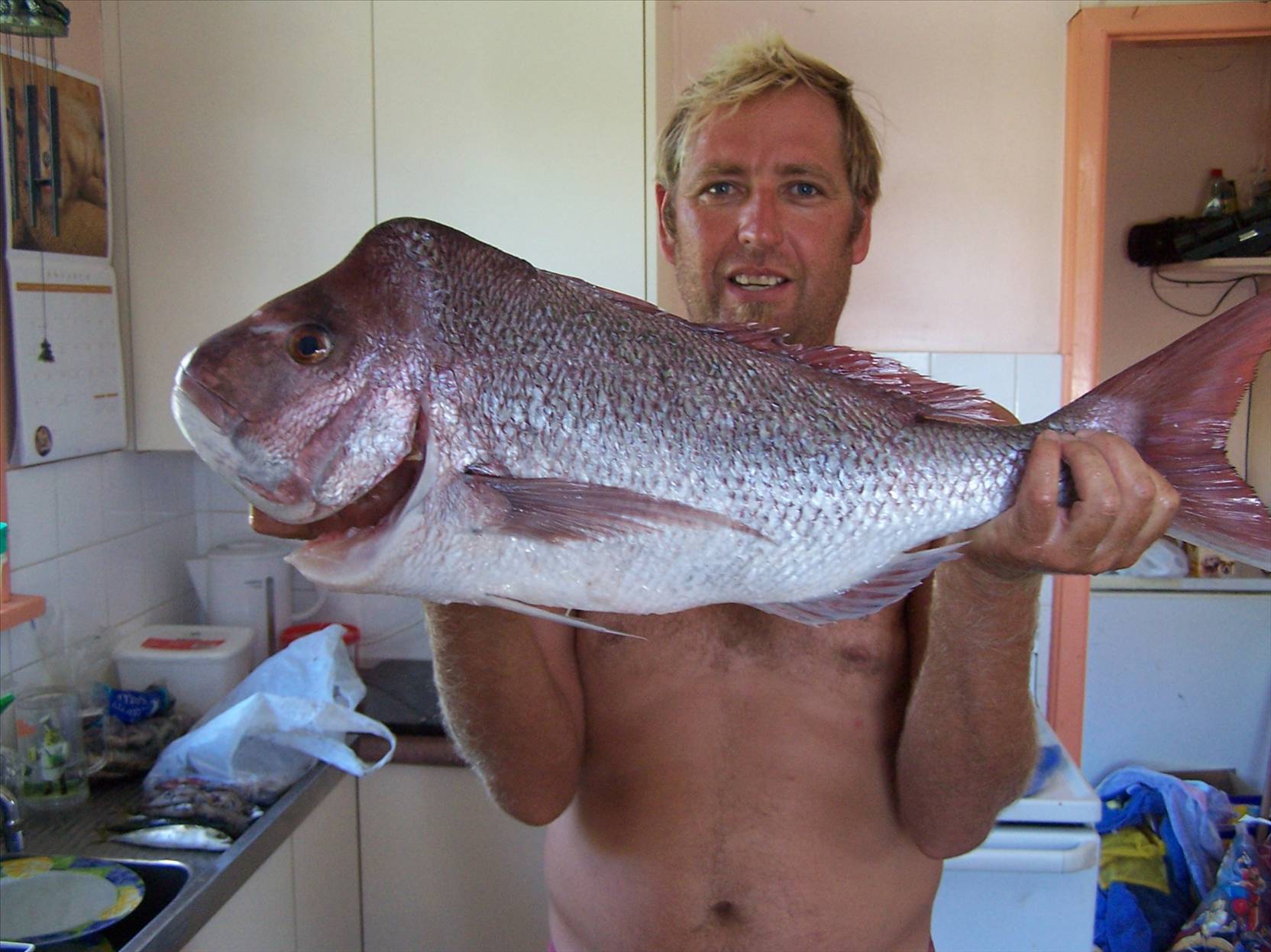 nice reds by AL & Darren