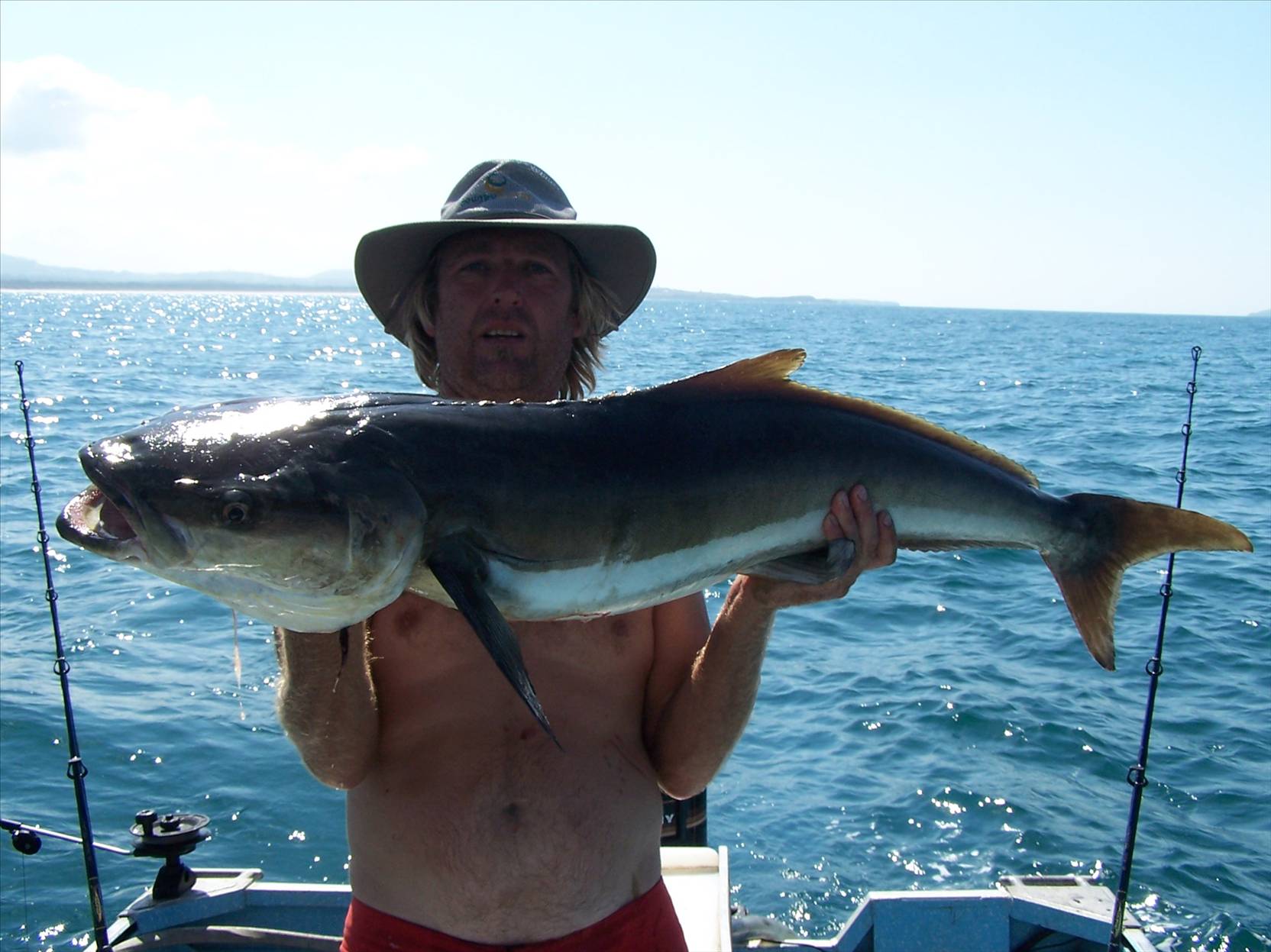 cobia byAL