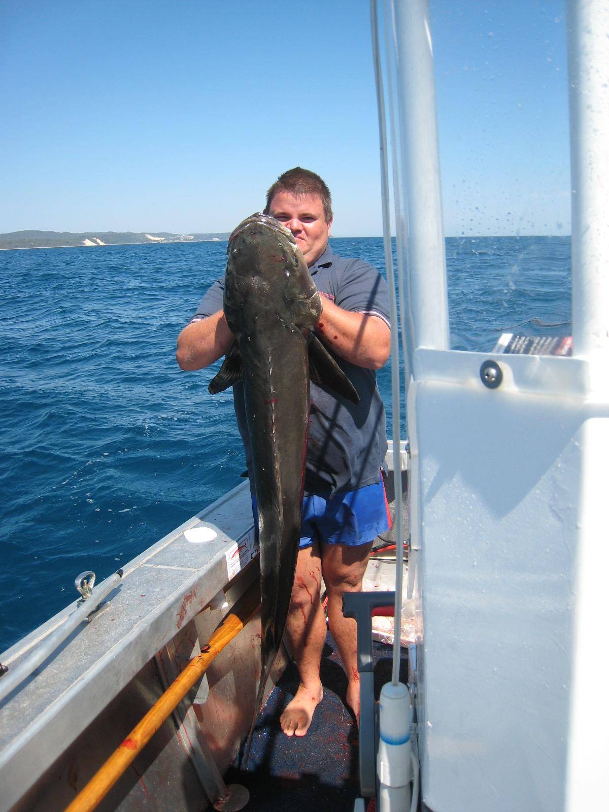 16kg cobia on light gear