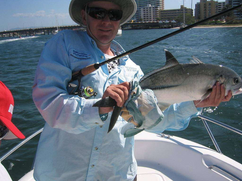 gold coast trevally
