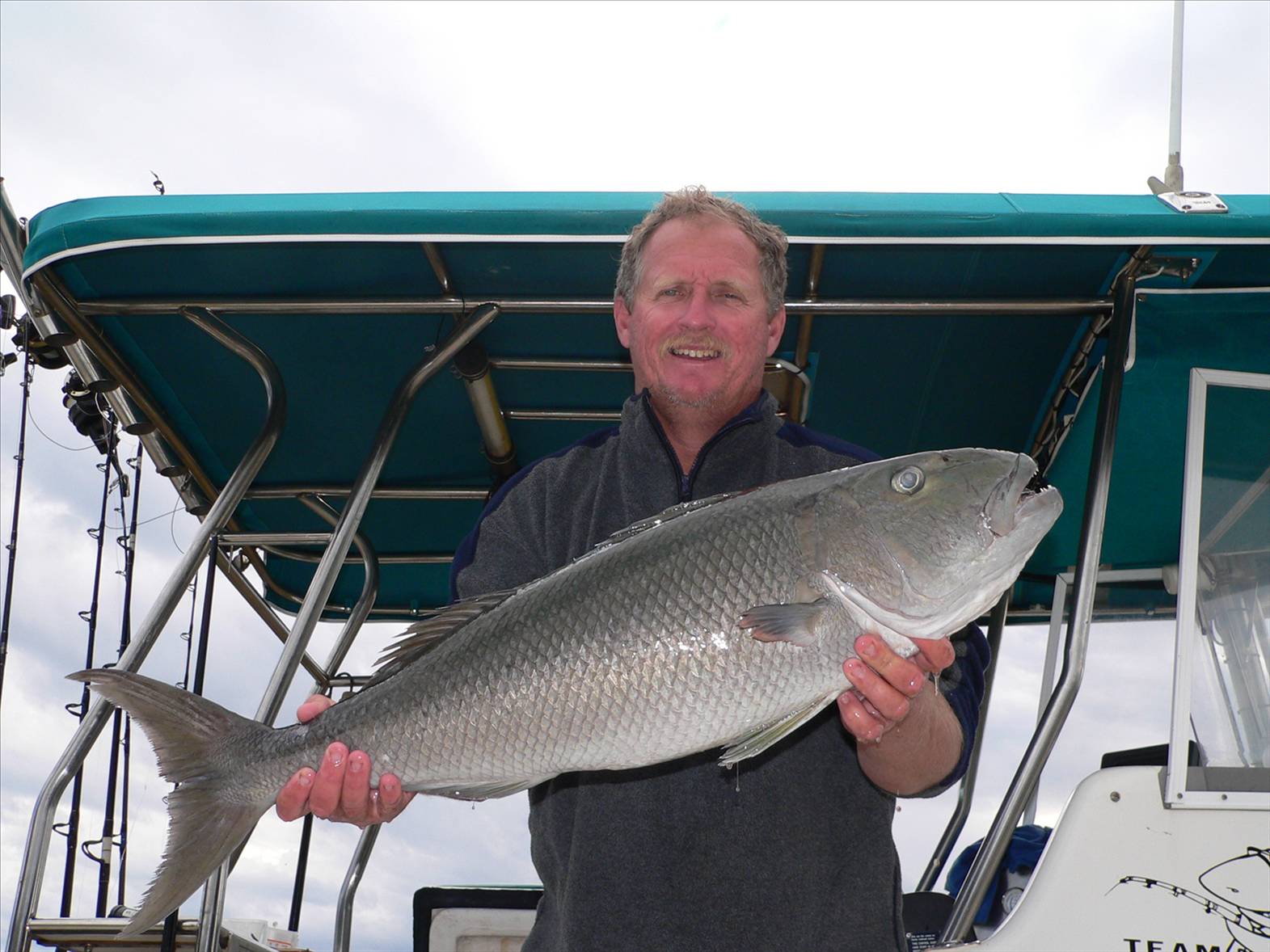 green jobfish