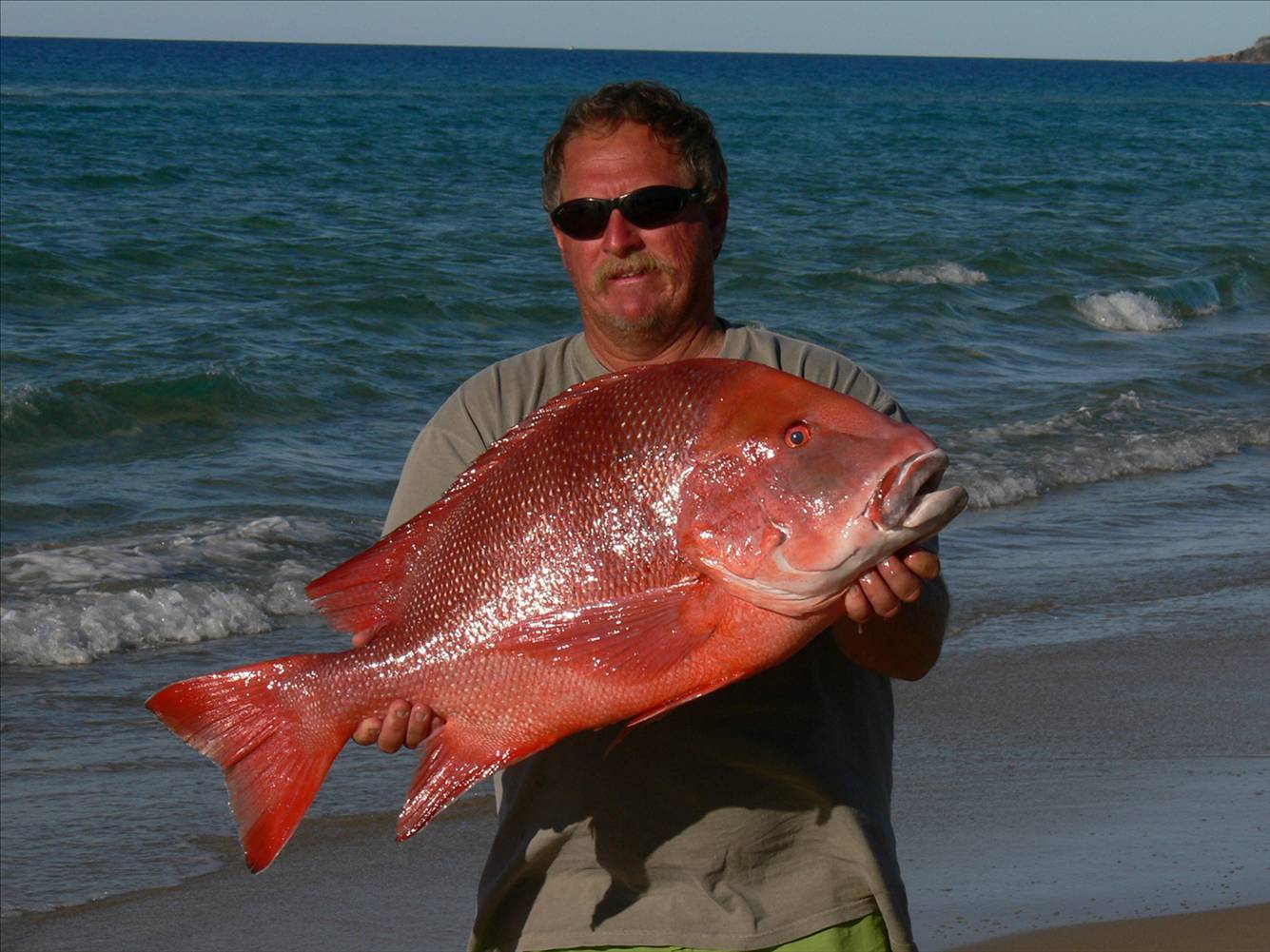 14 kilo red 