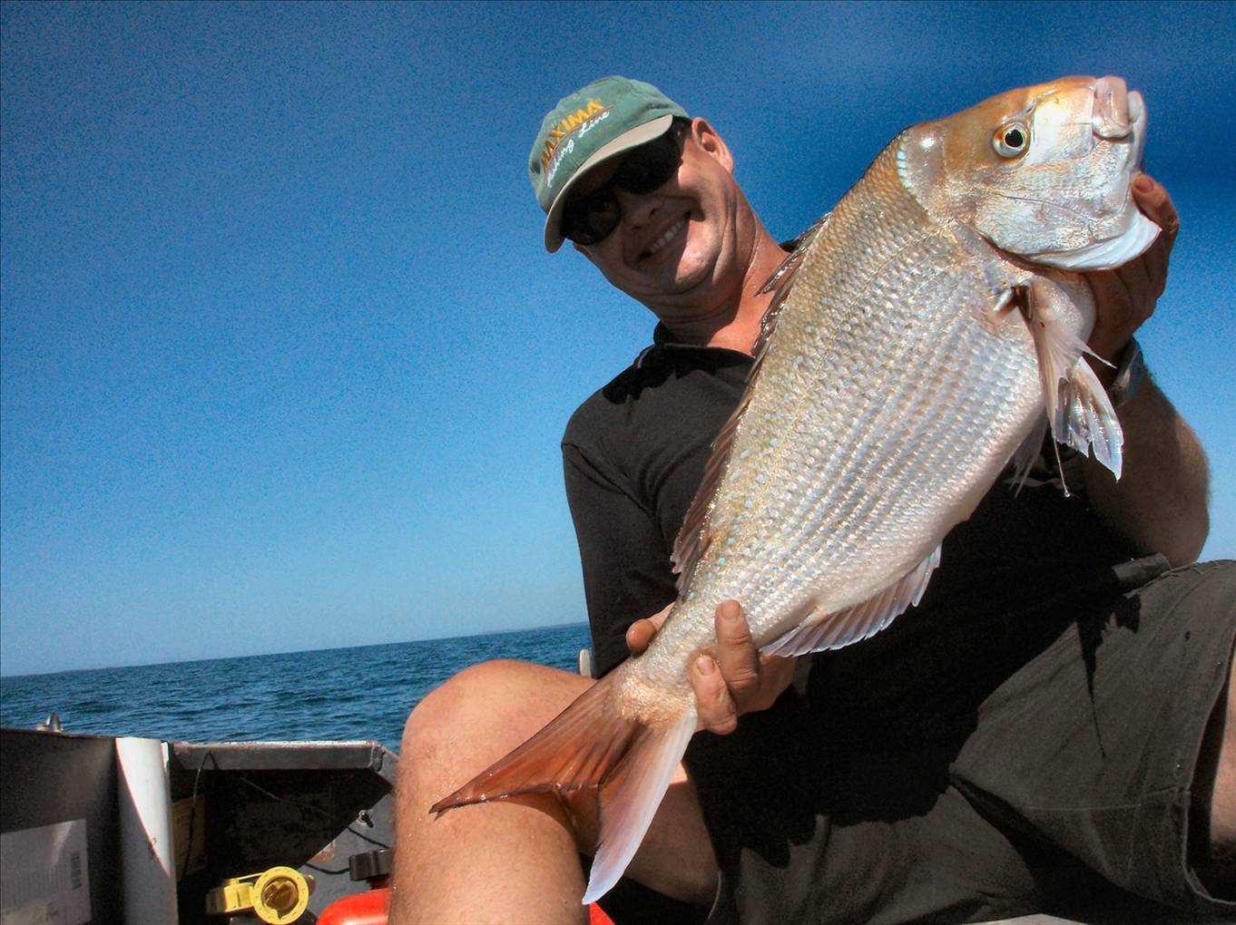 68cm Mud Island Snapper