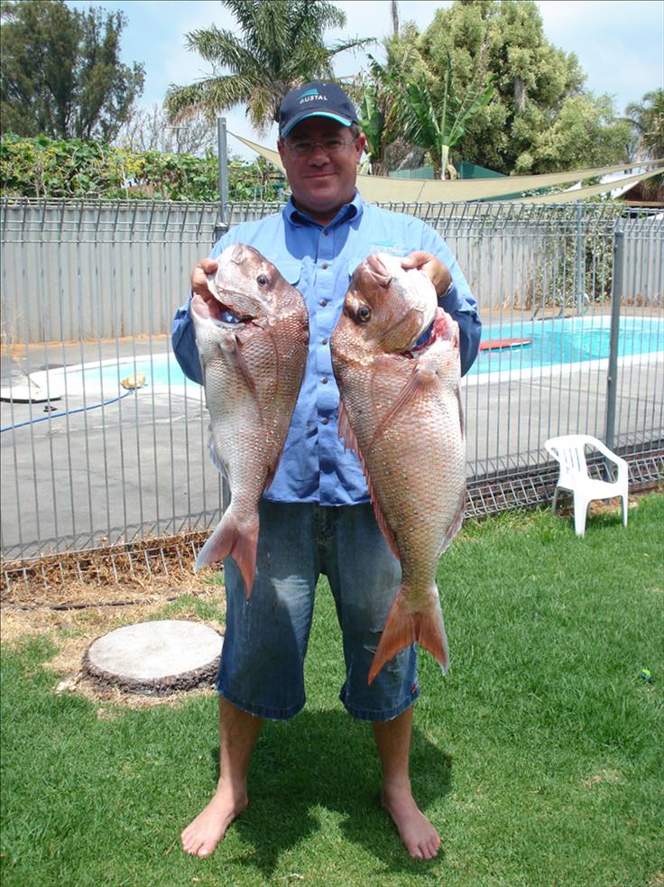 2 Good Snapper caught inside Rotto. Big one over 7kg