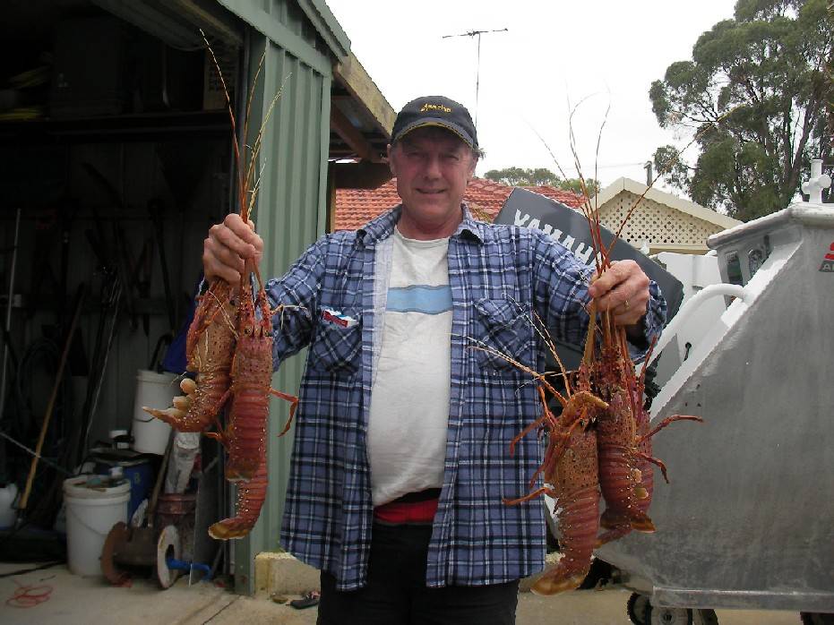 First dive for the season off Mindarie