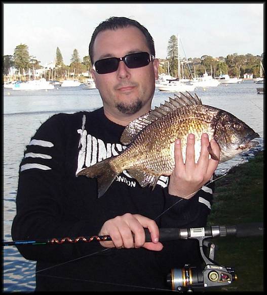 49cm black bream