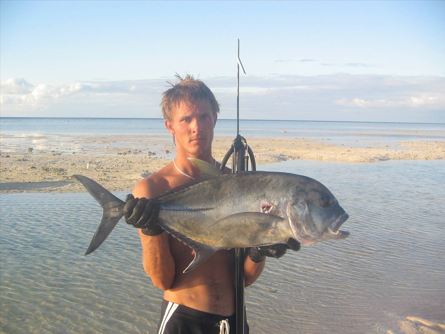 some fish speared