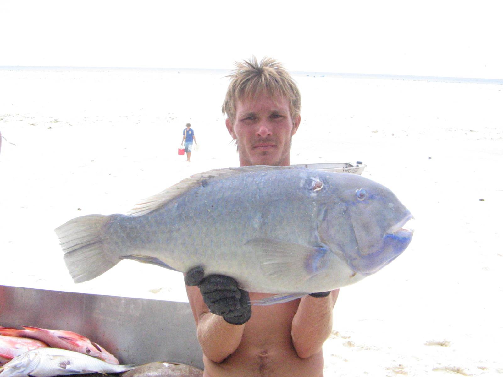 some fish speared