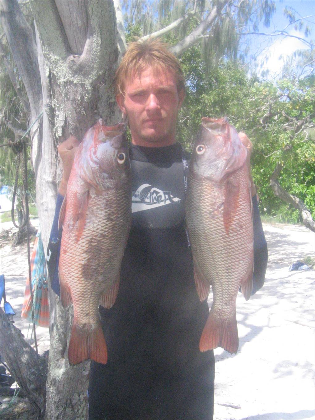 some fish speared