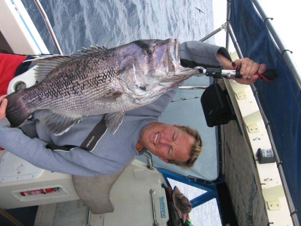 some nice fish