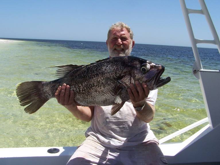 Xmas Fish West Aust