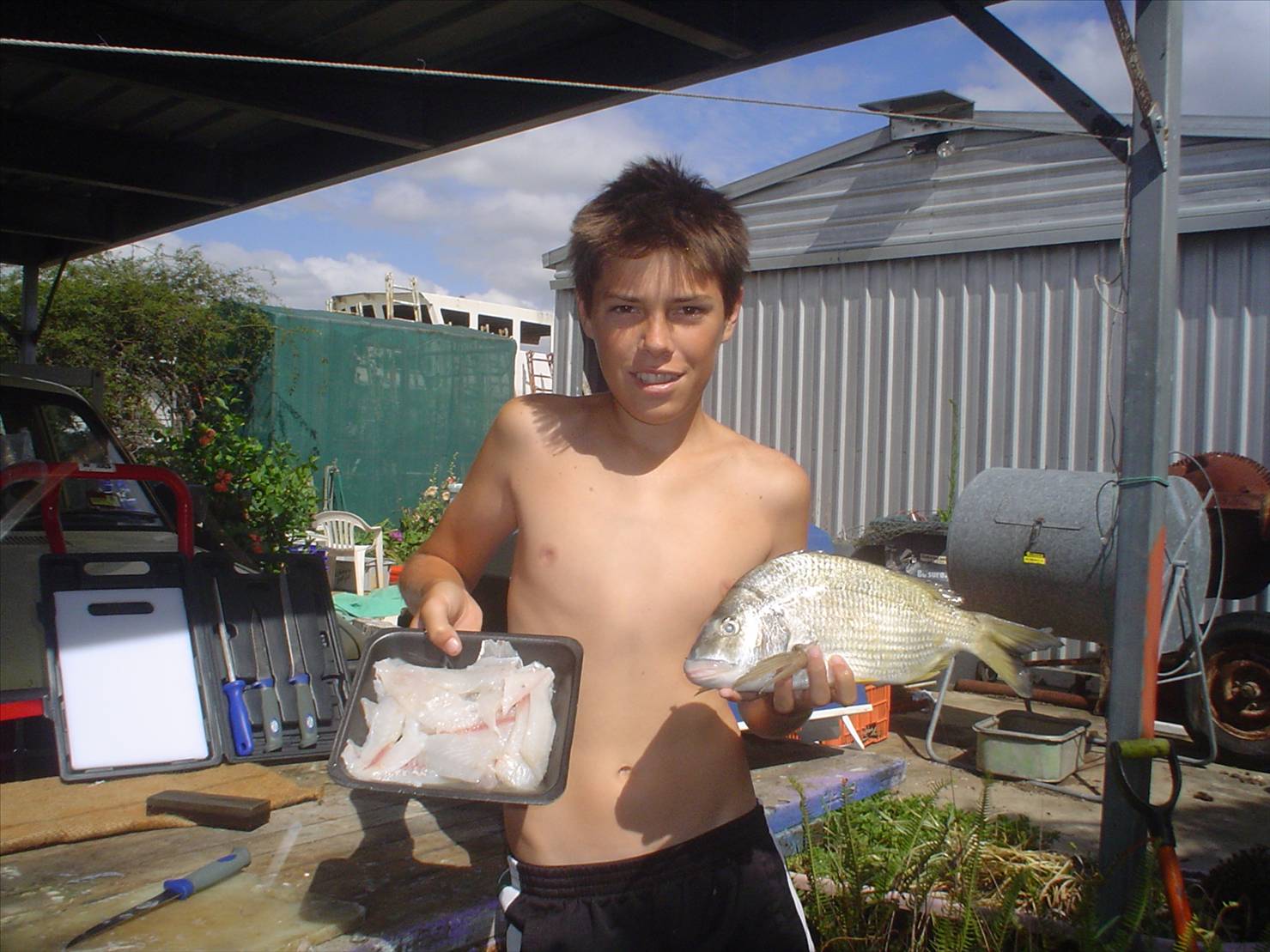 feed of fish
